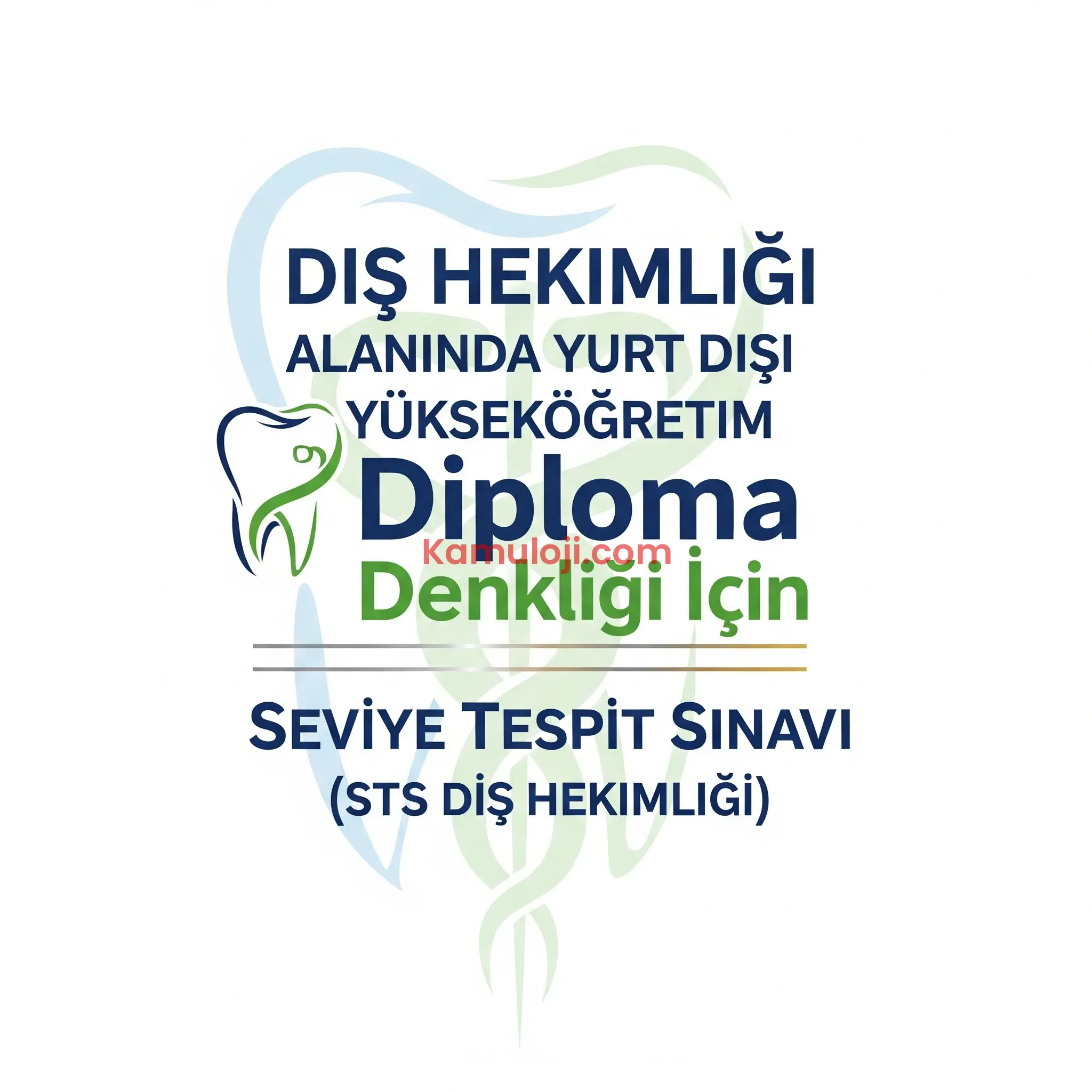 Diş Hekimliği Alanında Yurt Dışı Yükseköğretim Diploma Denkliği İçin Seviye Tespit Sınavı (STS Diş Hekimliği)