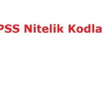 KPSS 3027 Nitelik Kodu Nedir?