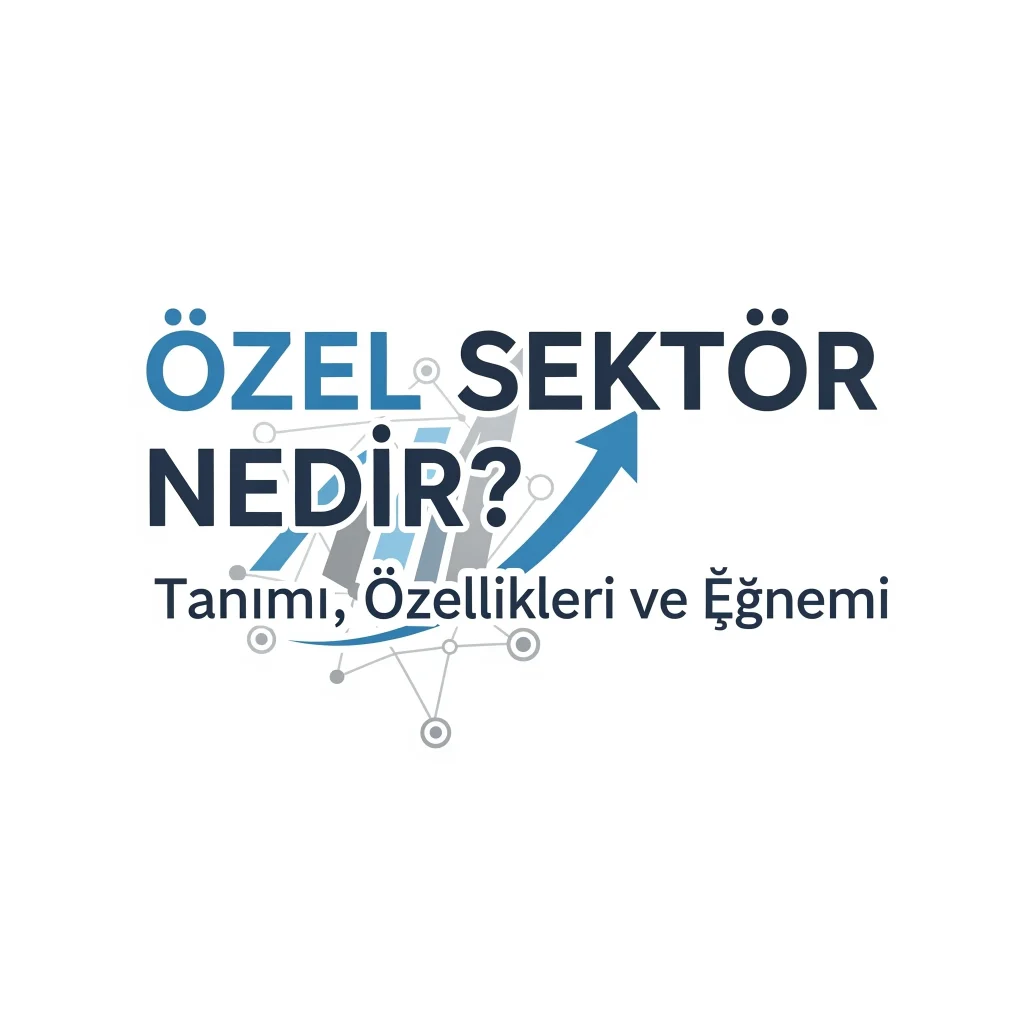 Özel Sektör Nedir? Tanımı, Özellikleri ve Önemi