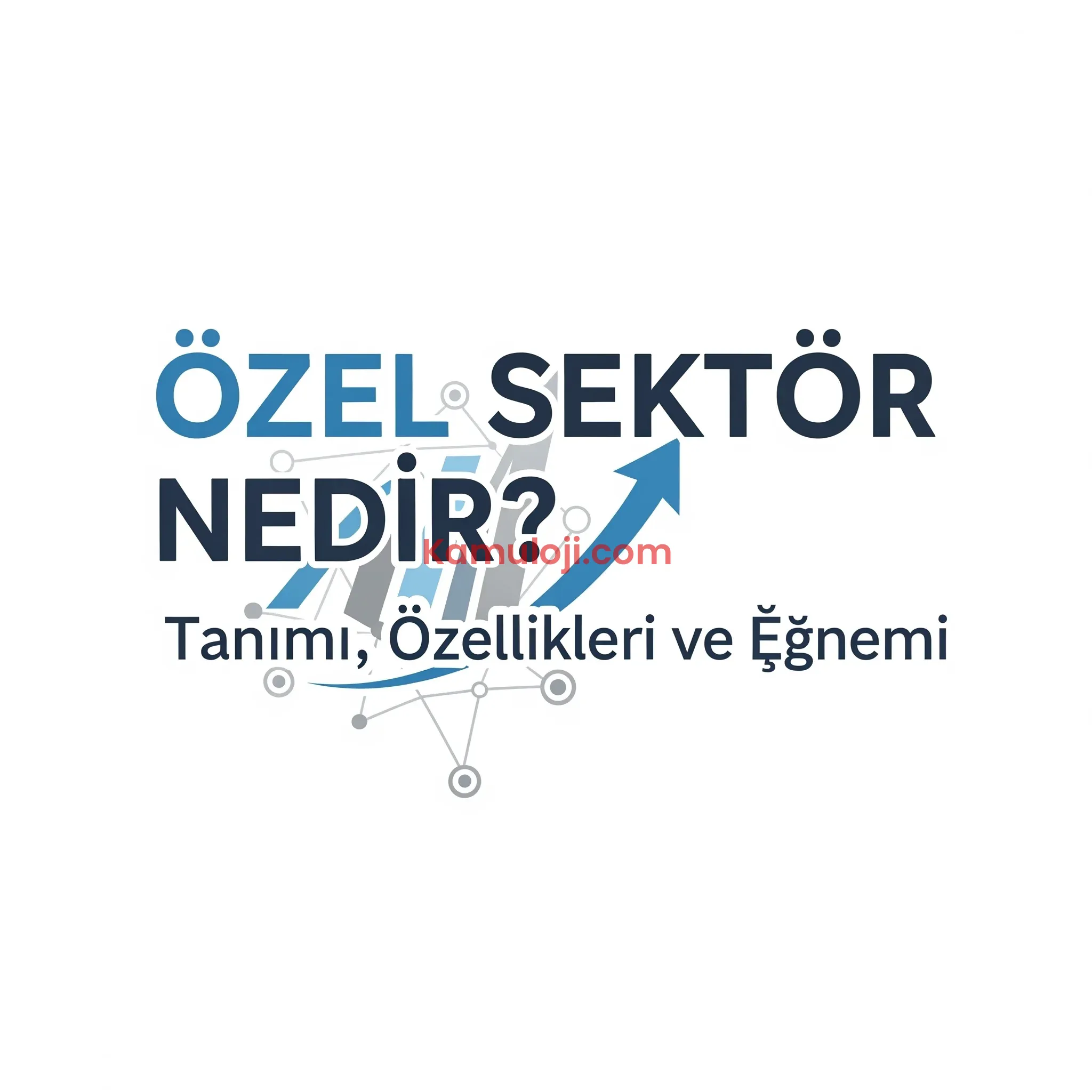 Özel Sektör Nedir? Tanımı, Özellikleri ve Önemi