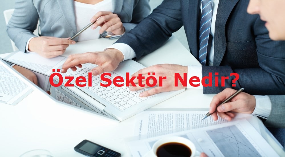 Özel Sektör Nedir? Tanımı, Özellikleri ve Önemi