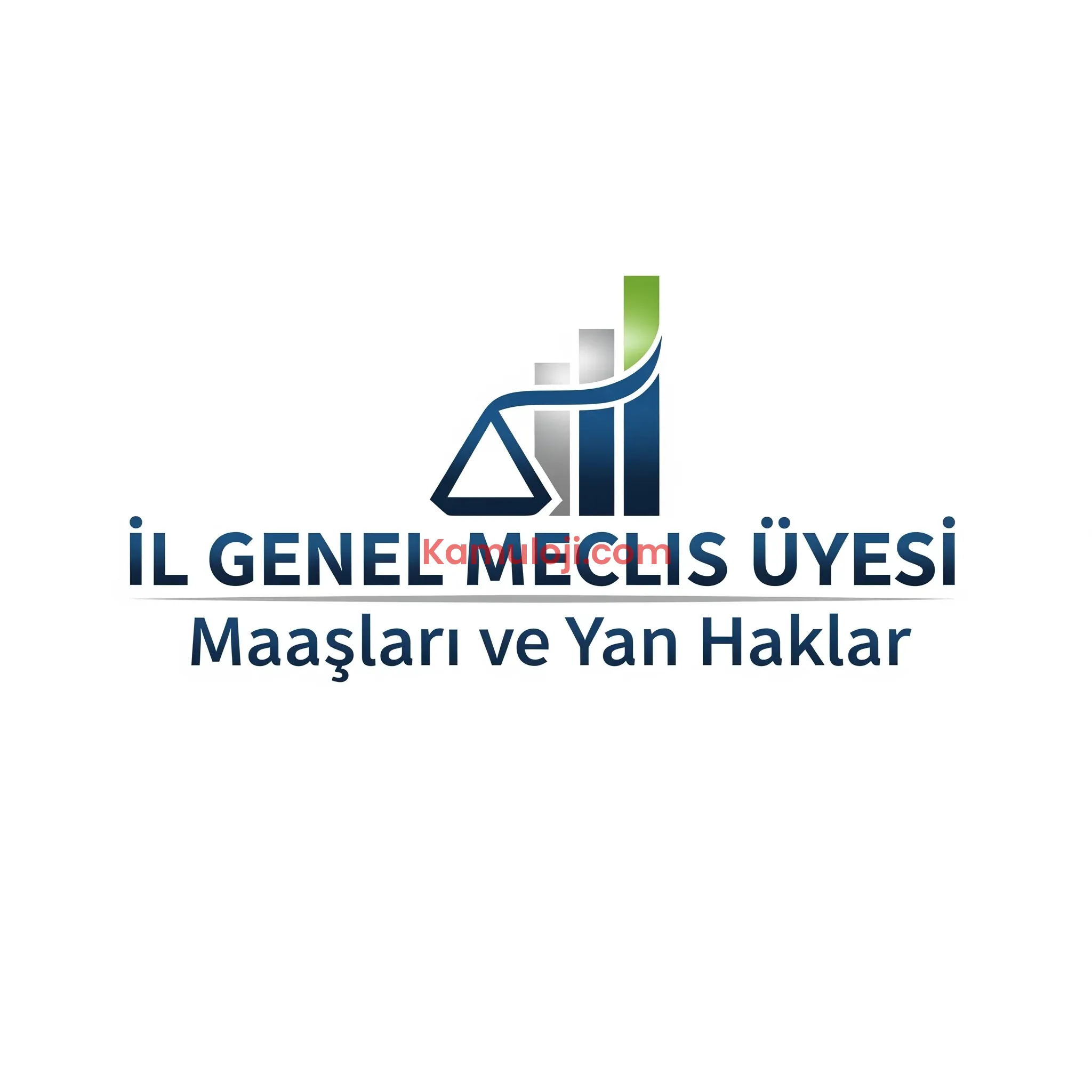İl Genel Meclis Üyesi Maaşları ve Yan Haklar