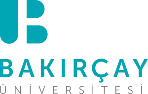 İzmir Bakırçay Üniversitesi Taban Puanları ve Başarı Sıralamaları