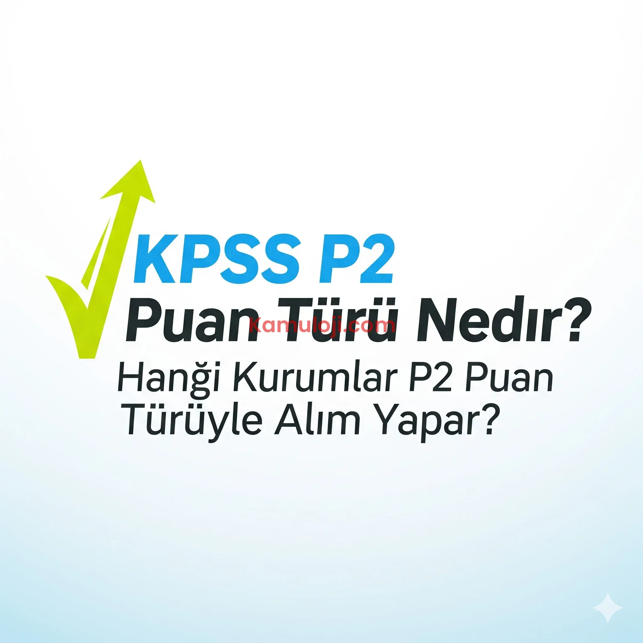 KPSS P2 Puan Türü Nedir? Hangi Kurumlar P2 Puan Türüyle Alım Yapar?