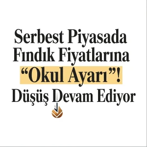 Serbest Piyasada Fındık Fiyatlarına “Okul Ayarı”! Düşüş Devam Ediyor