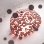 Evrim Nedir? Hakkında Bilgiler
