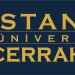 İstanbul Üniversitesi-Cerrahpaşa 4 Sözleşmeli Bilişim Personeli Alacak!