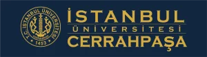 İstanbul Üniversitesi-Cerrahpaşa 4 Sözleşmeli Bilişim Personeli Alacak!
