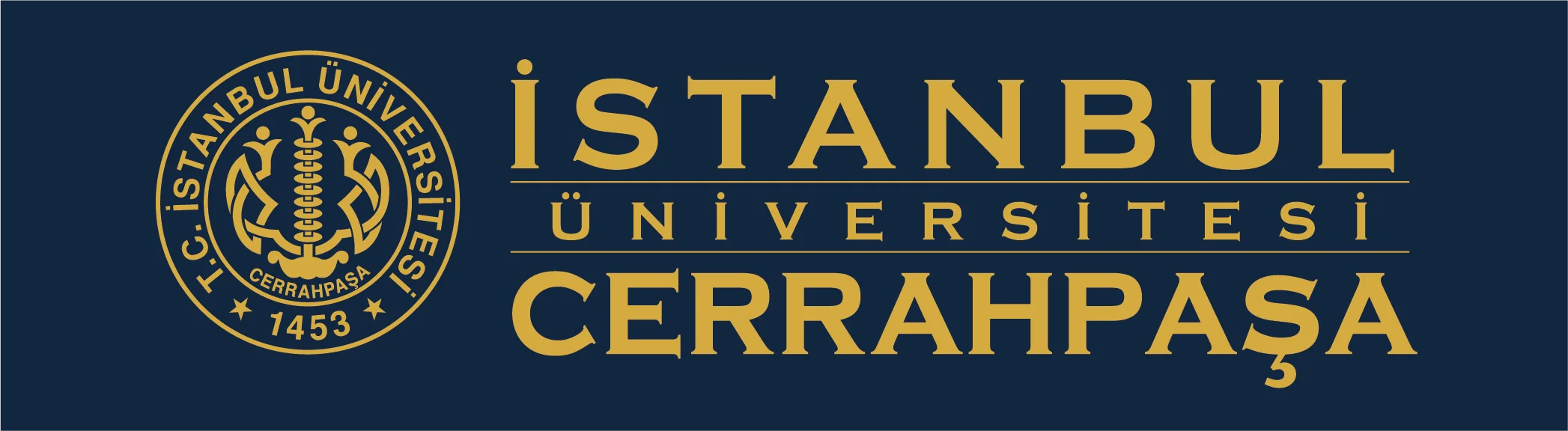 İstanbul Üniversitesi-Cerrahpaşa 4 Sözleşmeli Bilişim Personeli Alacak!